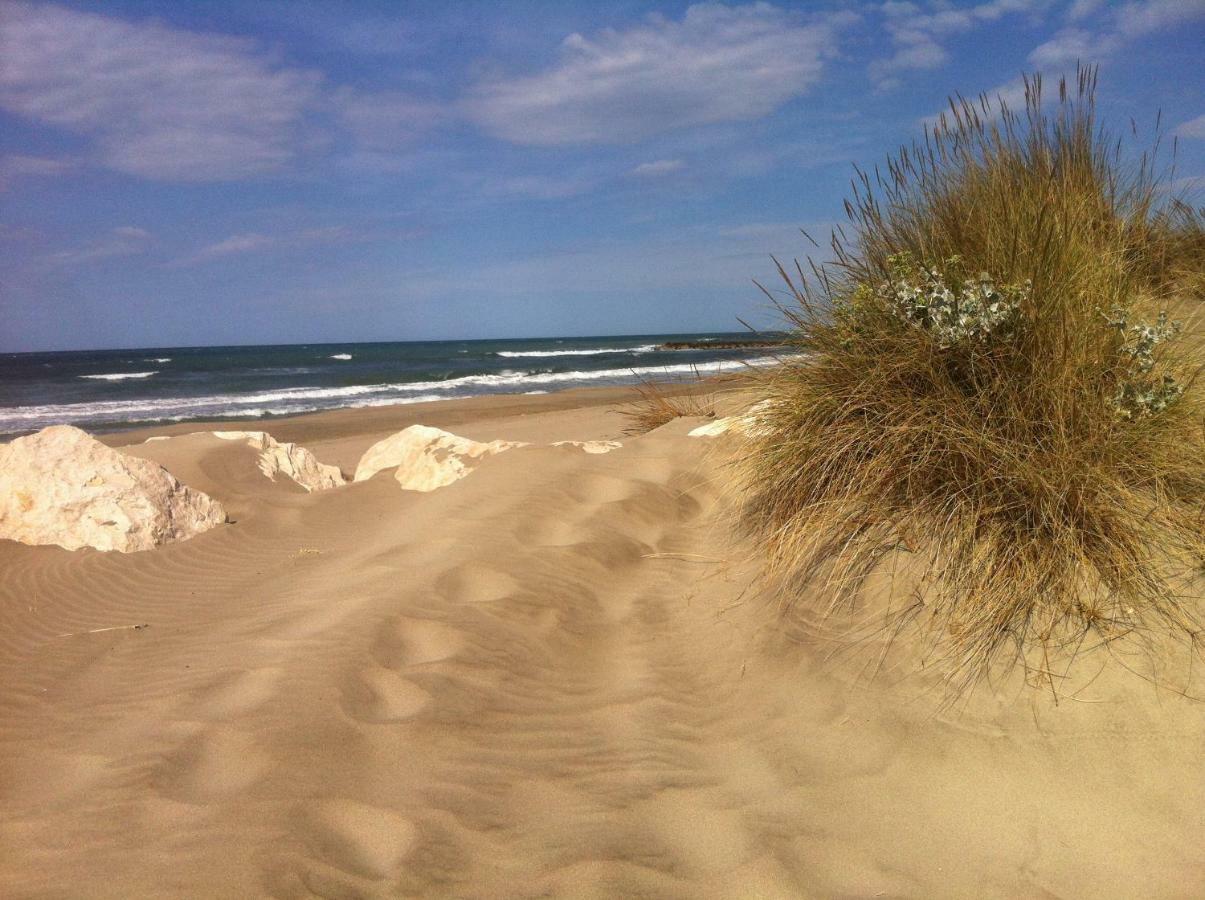 Maebrilu Camargue Provence Bed & Breakfast Salin-de-Giraud Luaran gambar